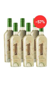 ANTIGAL 1 Sauvignon blanc caja x12 botellas 750ml