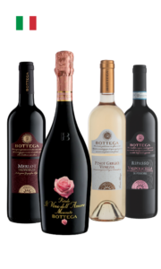 Packx4 ITALIA - Pétalo moscato + Bottega Pinot Grigio + Bottega Merlot + Bottega Ripasso Valpolicella