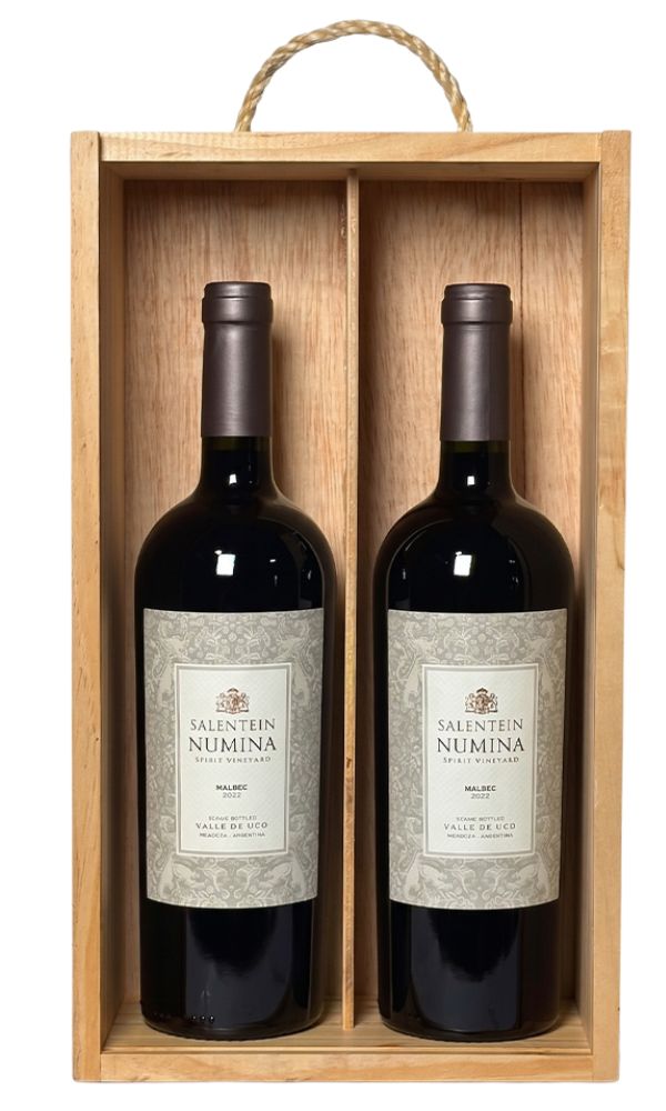 Estuche doble Salentein Numina Malbec 750ml