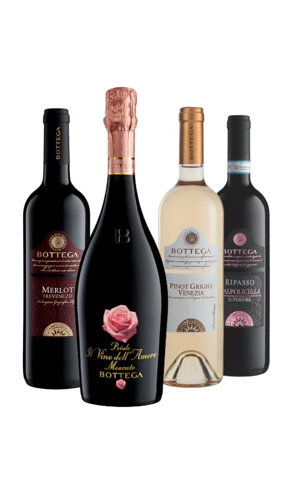 Pack Vinos de Italia x4 botellas